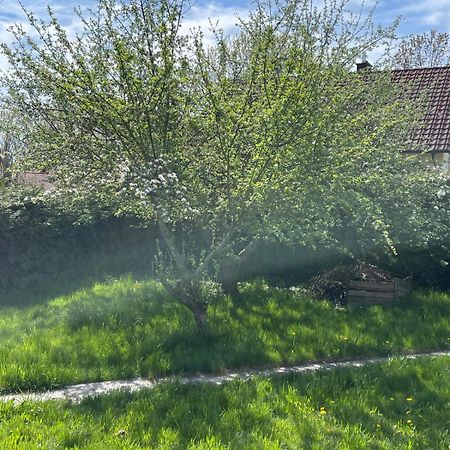 Bungalow In Ruhiger Siedlung Mit Stellplatz Landshut Eksteriør bilde